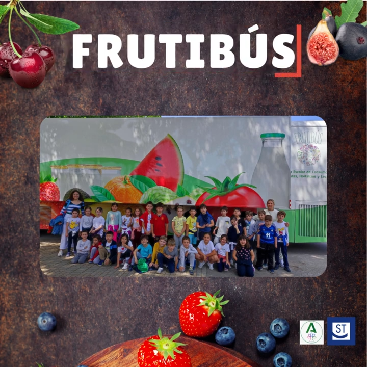 Frutibús