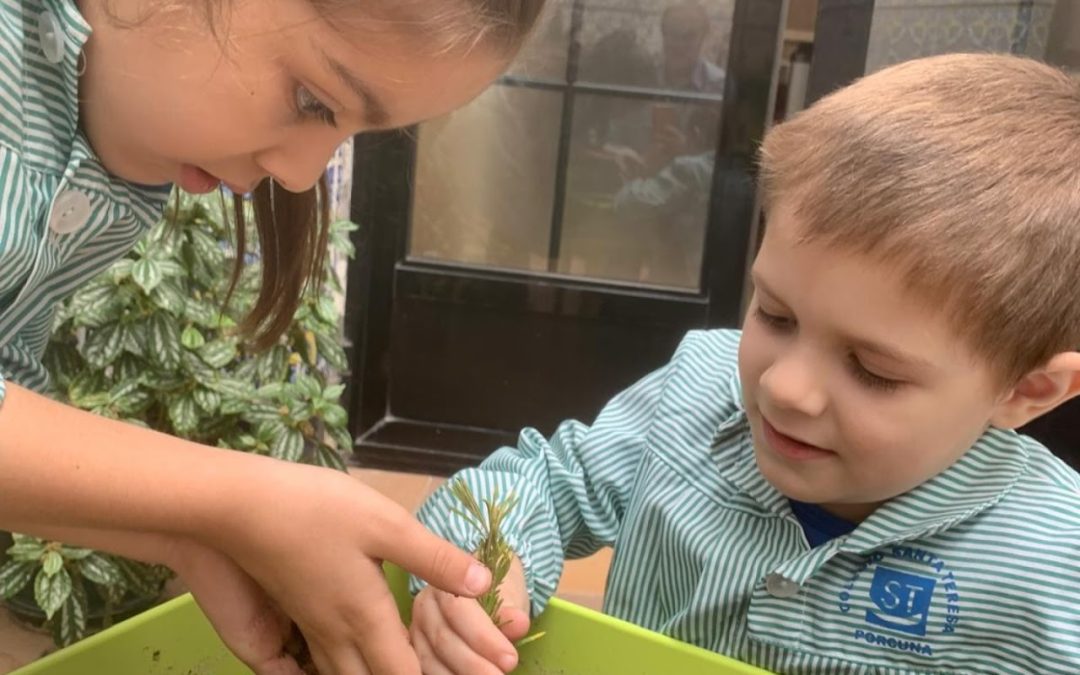 Día mundial de la Educación Ambiental