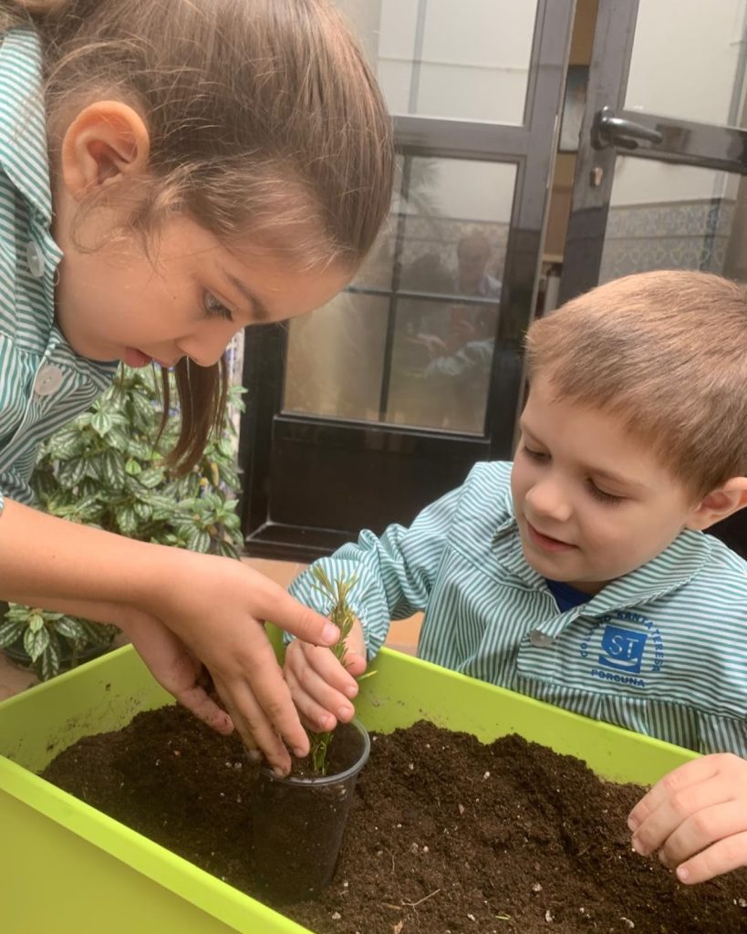 Día mundial de la Educación Ambiental